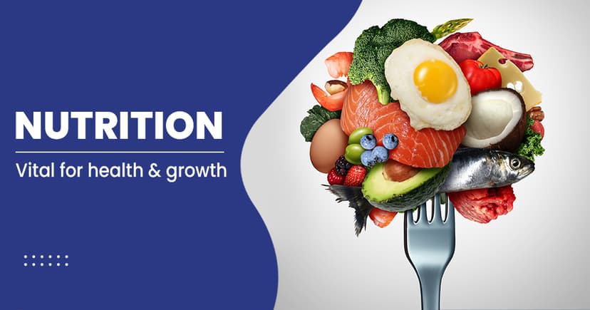 Get Nutrition-AI