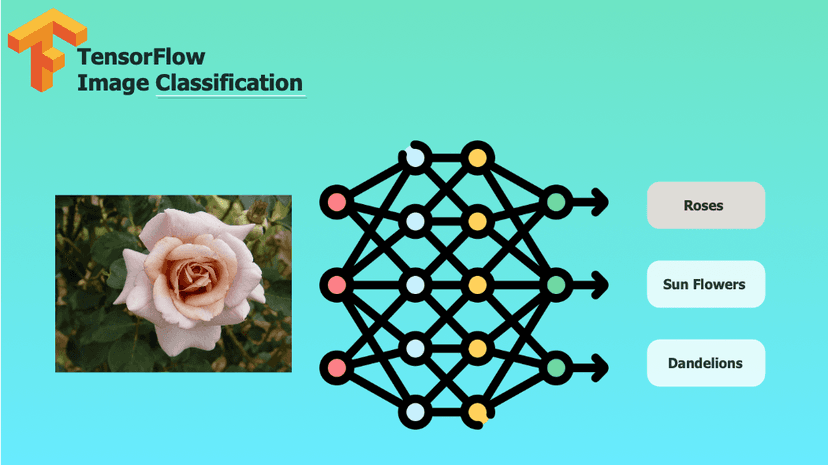 Cancer Classification